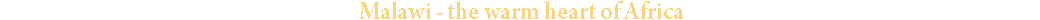 Video Title